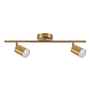 Spotlampe GOLDI 2xGU10/10W/230V guldfarvet