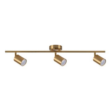 Spotlampe GOLDI 3xGU10/10W/230V guldfarvet