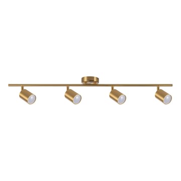 Spotlampe GOLDI 4xGU10/10W/230V guldfarvet