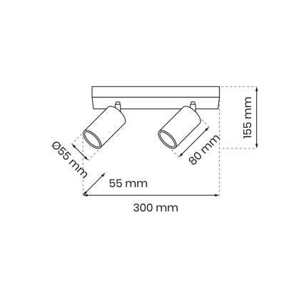 Spotlampe HUDSON 2xGU10/8W/230V hvid