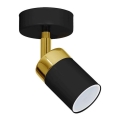 Spotlampe JOKER 1xGU10/25W/230V sort/guld
