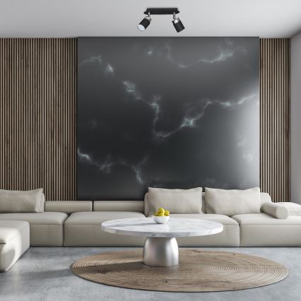 Spotlampe JOKER 2xGU10/25W/230V sort/poleret krom