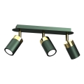 Spotlampe JOKER 3xGU10/25W/230V grøn/guld