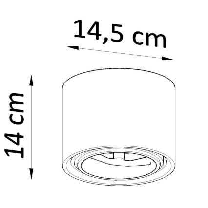 Spotlampe KALU 1xGU10/40W/230V