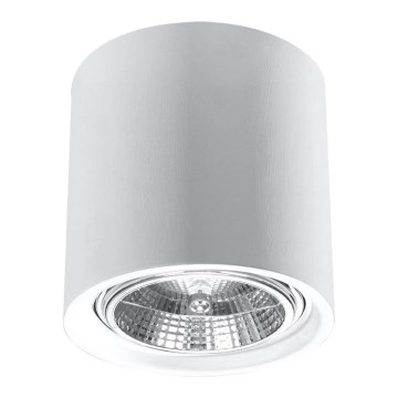 Spotlampe KALU 1xGU10/ES111/40W/230V