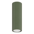 Spotlampe KARBON 1xGU10/10W/230V 20 cm grøn