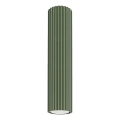 Spotlampe KARBON 1xGU10/10W/230V 30 cm grøn