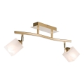 Spotlampe KLARA 2xE14/40W/230V guldfarvet