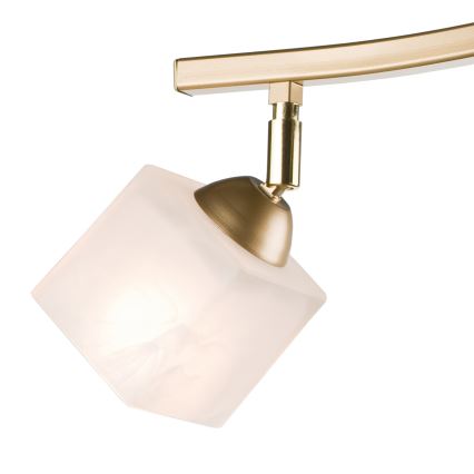 Spotlampe KLARA 2xE14/40W/230V guldfarvet