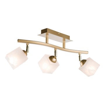 Spotlampe KLARA 3xE14/40W/230V guldfarvet