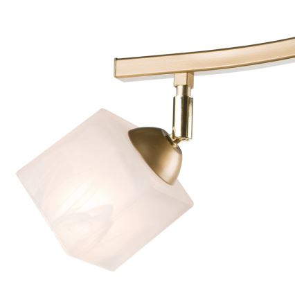 Spotlampe KLARA 3xE14/40W/230V guldfarvet