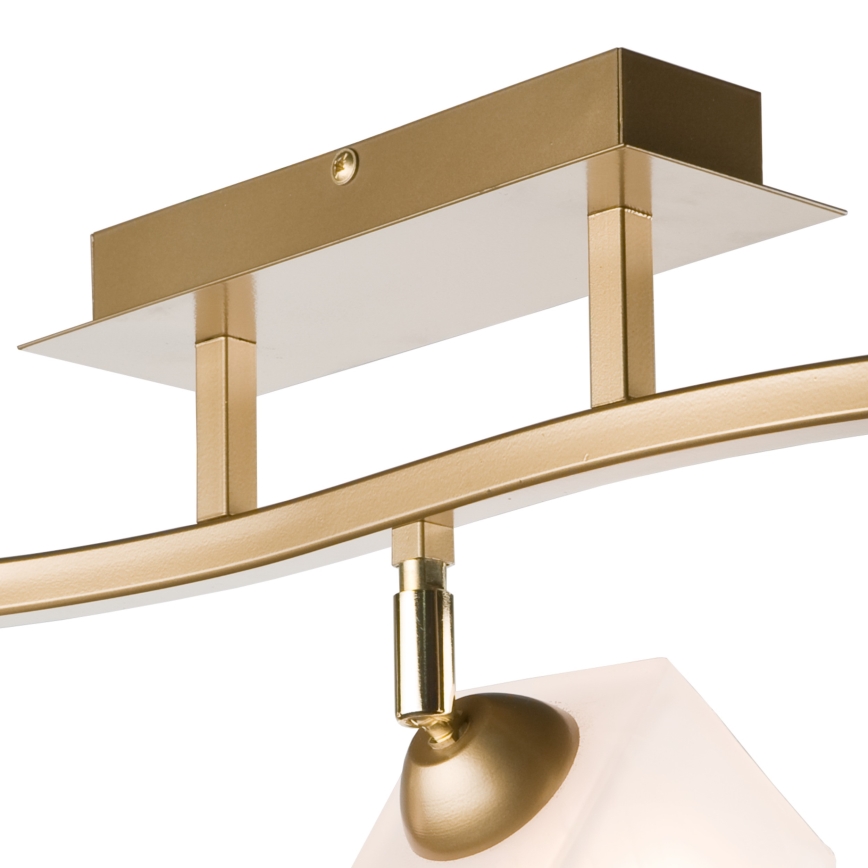 Spotlampe KLARA 3xE14/40W/230V guldfarvet
