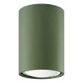 Spotlampe LAGOS 1xGU10/10W/230V 10 cm grøn
