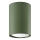 Spotlampe LAGOS 1xGU10/10W/230V 10 cm grøn