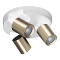 Spotlampe LAURIN 3xGU10/10W/230V messing/hvid