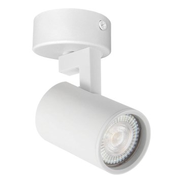 Spotlampe LYNX 1xGU10/10W/230V hvid