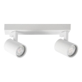 Spotlampe LYNX 2xGU10/10W/230V hvid