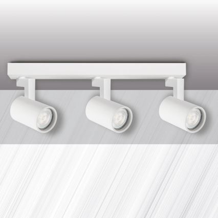 Spotlampe LYNX 3xGU10/10W/230V hvid