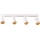 Spotlampe MARIBEL 4xGU10/10W/230V hvid