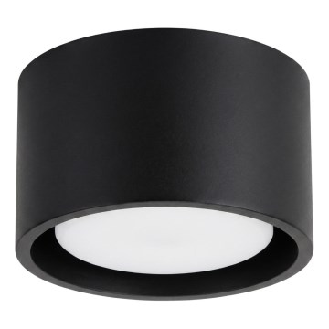Spotlampe MODO 1xGX53/10W/230V sort