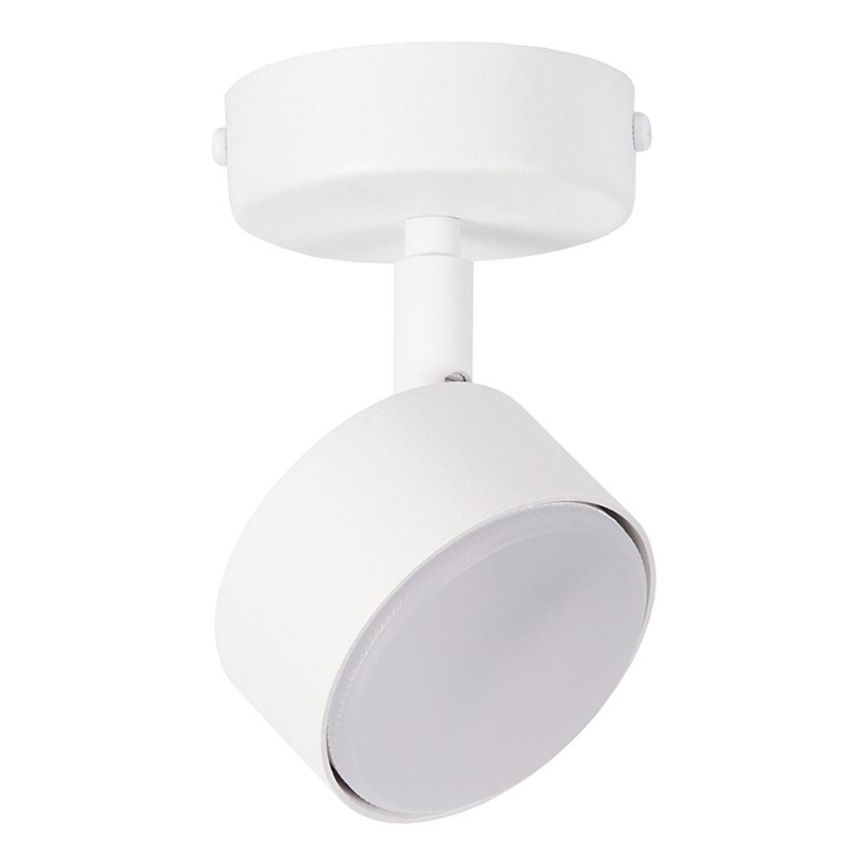 Spotlampe NEMO 1xGX53/12W/230V hvid