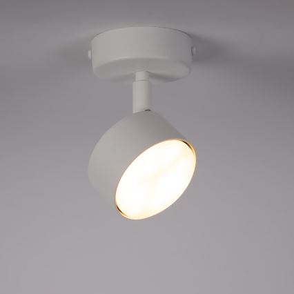 Spotlampe NEMO 1xGX53/12W/230V hvid