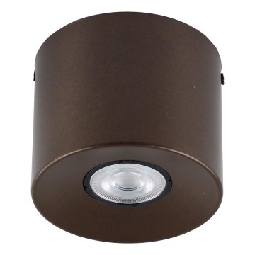 Spotlampe ORION 1xGU10/10W/230V 9 cm brun