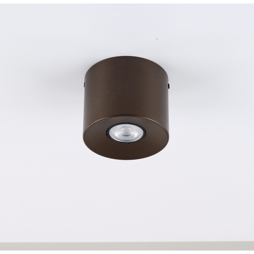 Spotlampe ORION 1xGU10/10W/230V 9 cm brun