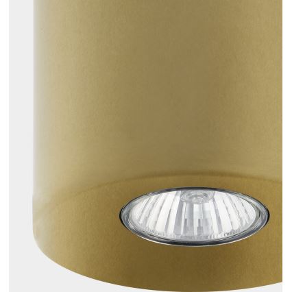 Spotlampe ORION 1xGU10/10W/230V guld