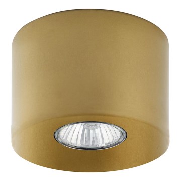 Spotlampe ORION 1xGU10/10W/230V guld