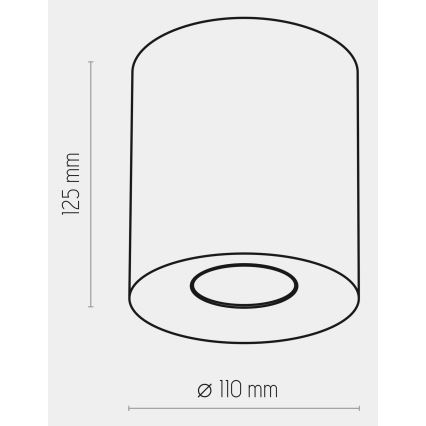 Spotlampe ORION 1xGU10/10W/230V hvid