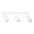 Spotlampe PIPE 3xGU10/10W/230V hvid