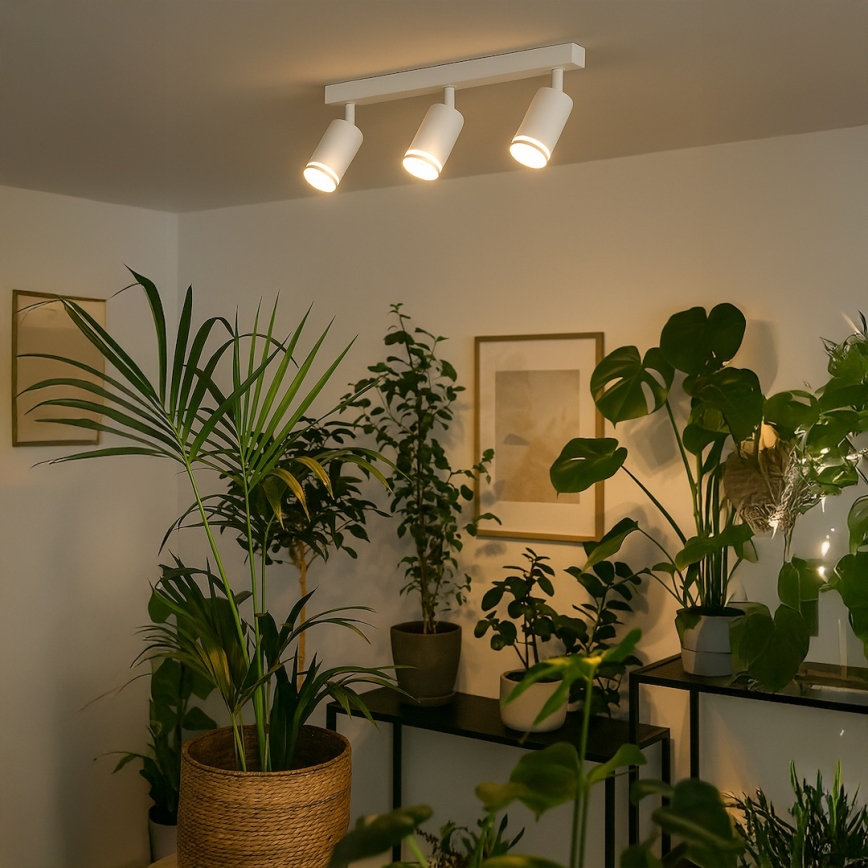 Spotlampe PIPE 3xGU10/10W/230V hvid