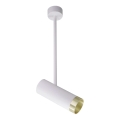 Spotlampe PORTO 1xGU10/10W/230V hvid