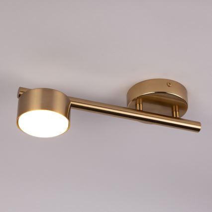 Spotlampe PUNTO 1xGX53/12W/230V guldfarvet