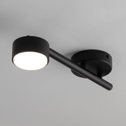 Spotlampe PUNTO 1xGX53/12W/230V sort