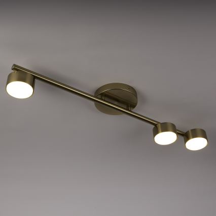 Spotlampe PUNTO 3xGX53/12W/230V guldfarvet