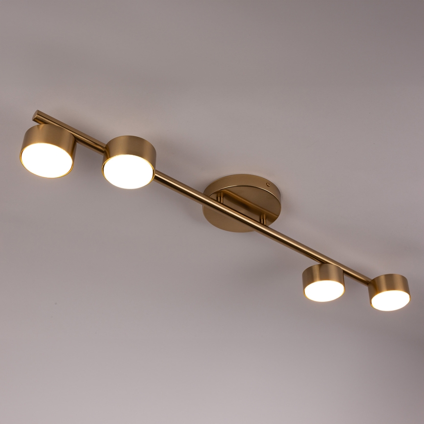 Spotlampe PUNTO 4xGX53/12W/230V guldfarvet