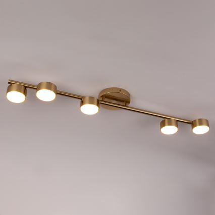 Spotlampe PUNTO 5xGX53/12W/230V guldfarvet