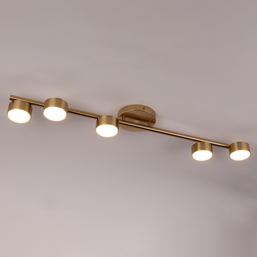 Spotlampe PUNTO 5xGX53/12W/230V guldfarvet