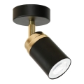 Spotlampe RENO 1xGU10/60W/230V sort/gylden
