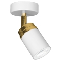 Spotlampe RENO 1xGU10/8W/230V hvid/guldfarvet