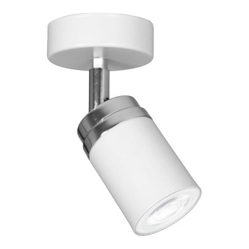 Spotlampe RENO 1xGU10/8W/230V hvid/skinnende krom
