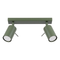 Spotlampe RING 2xGU10/10W/230V grøn