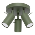 Spotlampe RING 3xGU10/10W/230V grøn