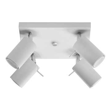 Spotlampe RING 4 4xGU10/10W/230V hvid