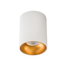 Spotlampe RITI 1xGU10/10W/230V hvid/guldfarvet