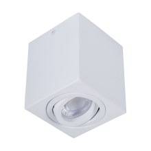 Spotlampe SIN 1xGU10/50W/230V hvid