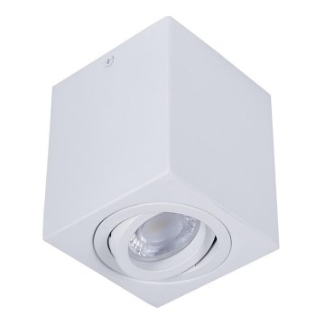 Spotlampe SIN 1xGU10/50W/230V hvid