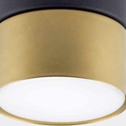 Spotlampe SPACE GOLD 1xGX53/15W/230V